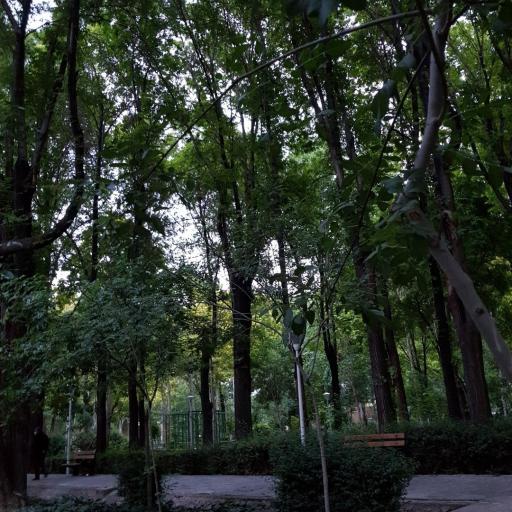 عکس 2 — پارک باقوشخانه