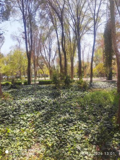 عکس 6 — پارک باقوشخانه