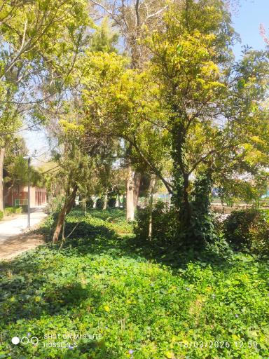 عکس 8 — پارک باقوشخانه