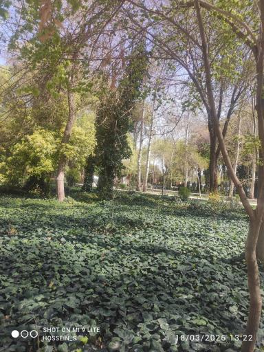 عکس 9 — پارک باقوشخانه