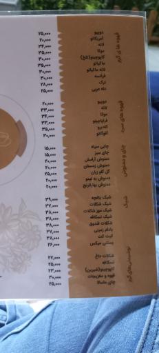 عکس 9 — کافه رستوران باغچه