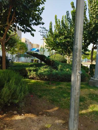 عکس 3 — بوستان فاتح