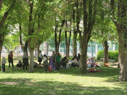 عکس 2 — پارک شهدای زینلی