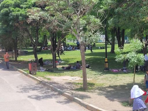 عکس 5 — پارک شهدای زینلی