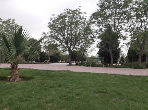 عکس 3 — پارک ناژون
