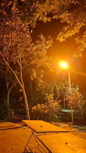عکس 3 — باغ بانوان ناژوان