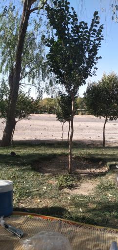 عکس 8 — پارک ساحلی ناژوان