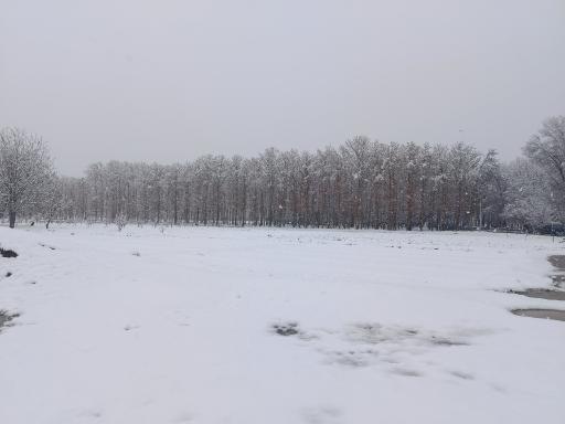 عکس 8 — بیشه ناژوان
