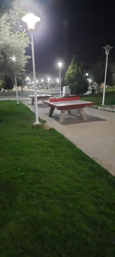 عکس 2 — پارک لاله