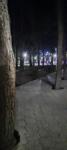 عکس 3 — پارک لاله