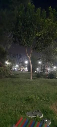 عکس 4 — پارک لاله