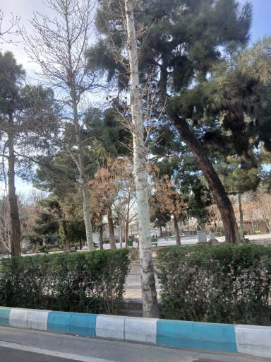 بوستان ولیعصر