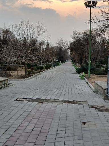 عکس 4 — بوستان ولیعصر
