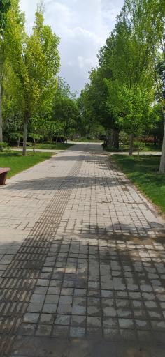 عکس 10 — بوستان ولیعصر