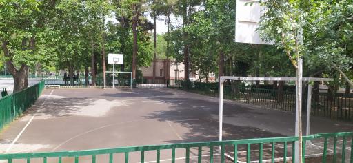 عکس 3 — بوستان ولیعصر