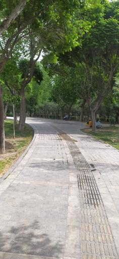 عکس 5 — بوستان ولیعصر