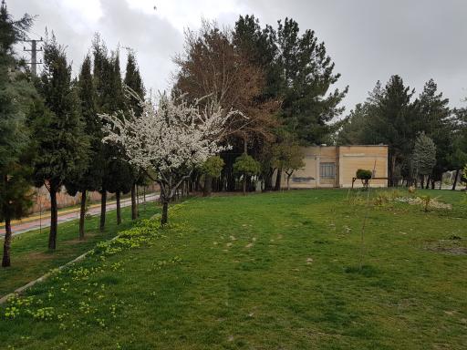 عکس 5 — پارک ولیعصر (عج)