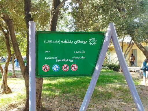 عکس 3 — بوستان بنفشه ( مختار ثقفی )