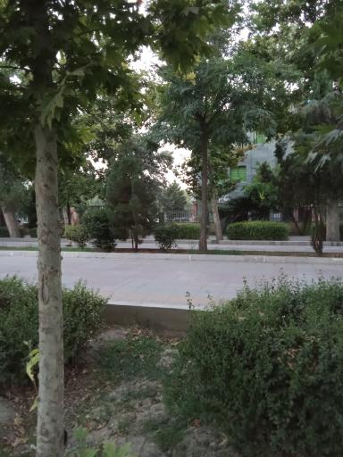 بوستان جنگلی قائم