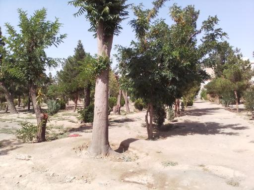 عکس 9 — بوستان جنگلی قائم