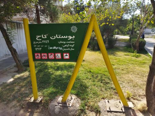 بوستان کاج
