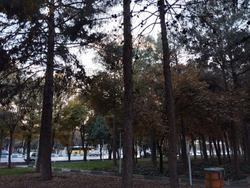 عکس 4 — بوستان ارشاد