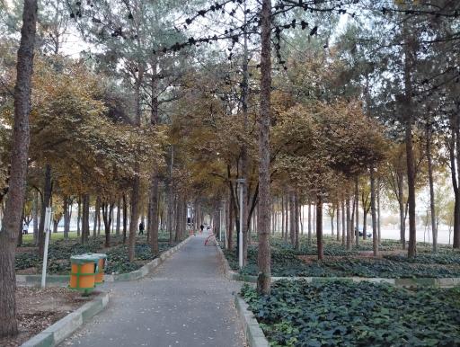 عکس 6 — بوستان ارشاد