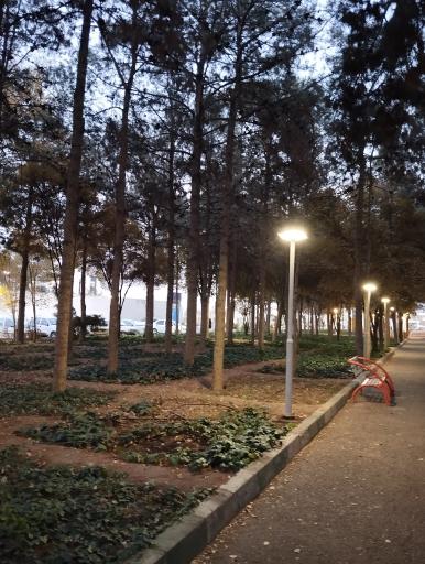 عکس 9 — بوستان ارشاد
