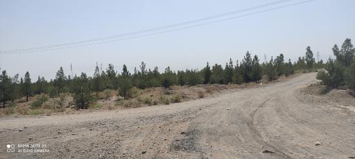 عکس 2 — پارک جنگلی خزاق