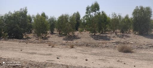 عکس 3 — پارک جنگلی خزاق