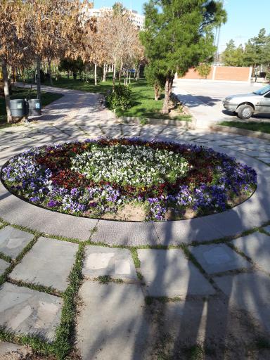 عکس 3 — چشمه کساره