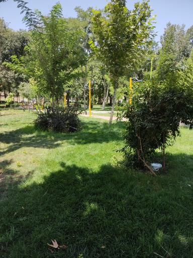 عکس 5 — پارک شهید رجایی