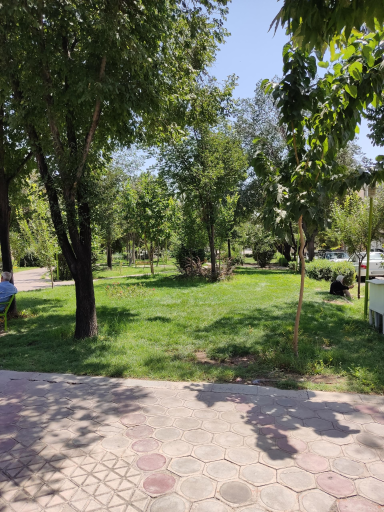 عکس 6 — پارک شهید رجایی