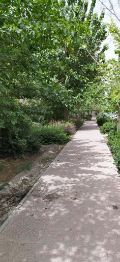 عکس 4 — بوستان کاشف