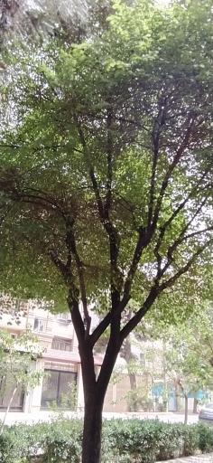 عکس 6 — بوستان کاشف