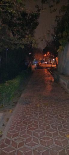 عکس 4 — بوستان گلریز