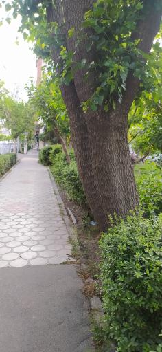 عکس 3 — بوستان قربانی