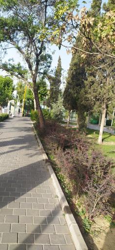 بوستان شهود