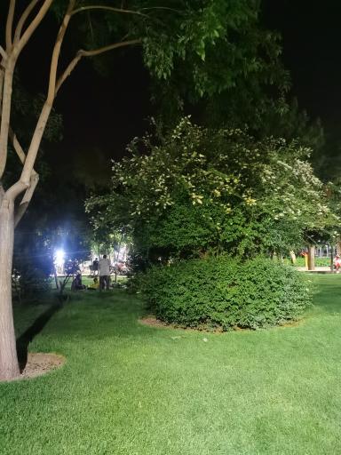عکس 6 — پارک مرداویج