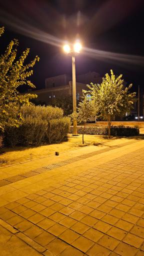 عکس 4 — بوستان راهب