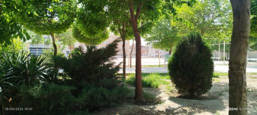 عکس 3 — پارک سلمان