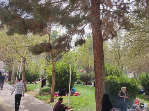 عکس 6 — پارک ساحلی درچه