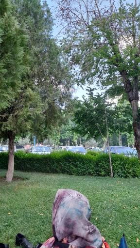 عکس 2 — بوستان ساحلی کلیشاد