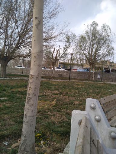 عکس 3 — پارک ساحلی کرافشان