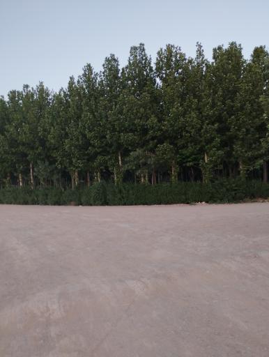 عکس 2 — بوستان ساحلی لنج