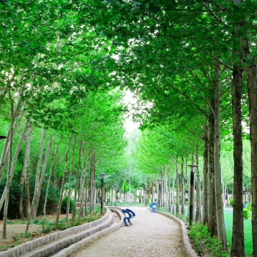 عکس 5 — بوستان ساحلی لنج