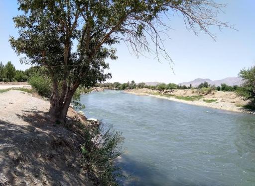 عکس 7 — بوستان ساحلی لنج