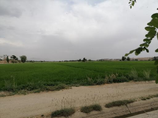 عکس 7 — پارک ساحلی شهیدان گمنام