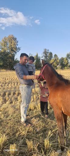 عکس 5 — پارک ساحلی