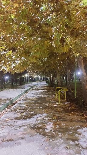 عکس 4 — پارک ساحلی چمگردان